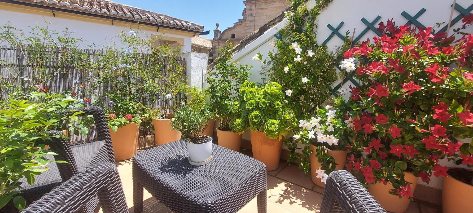 Apartamentos Los Descalzos Ángel Ronda Exterior foto